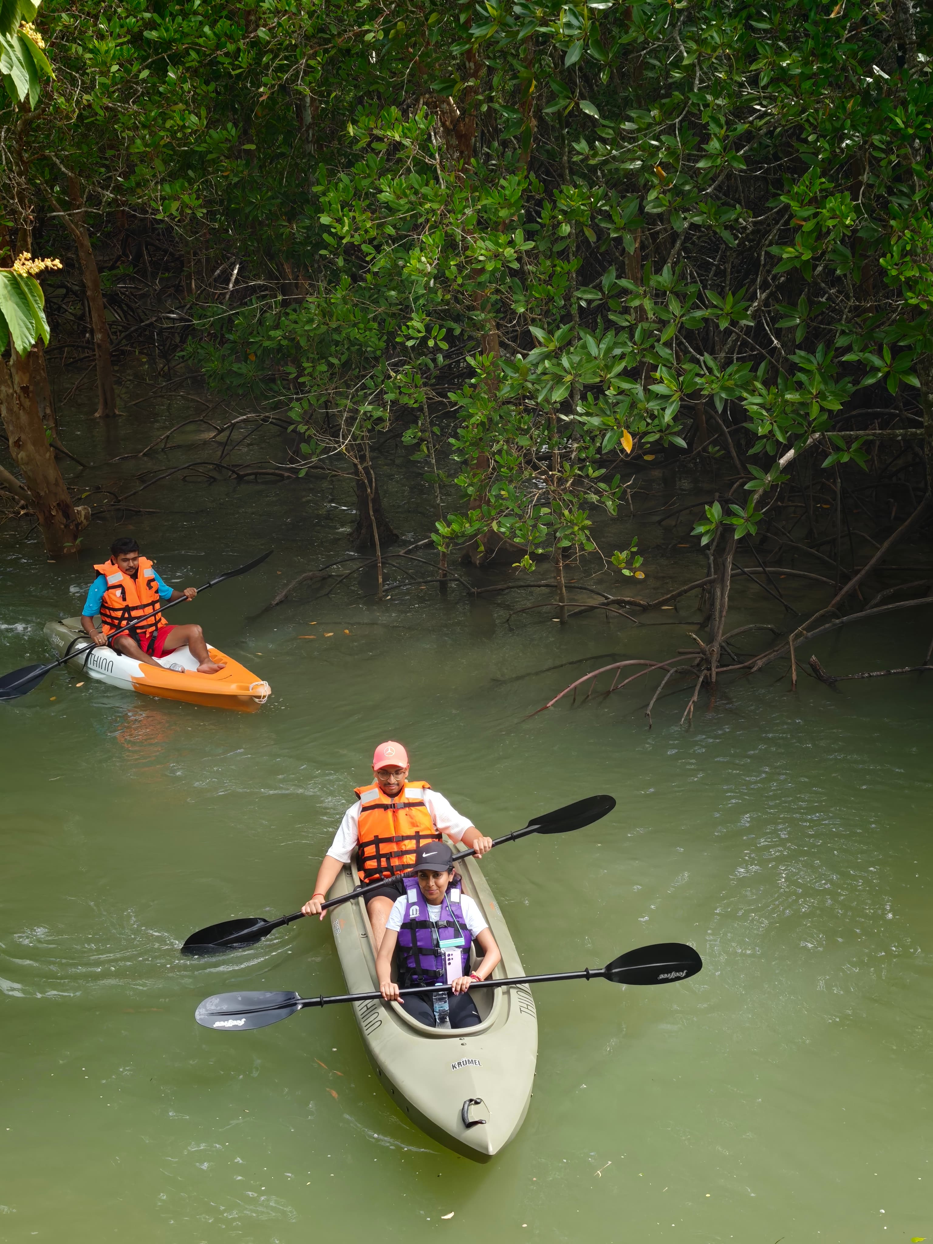 Guest taking a photo in the mangroves